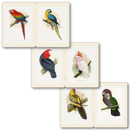 Memo Notebooks - Parrots - Notegeist Bindery